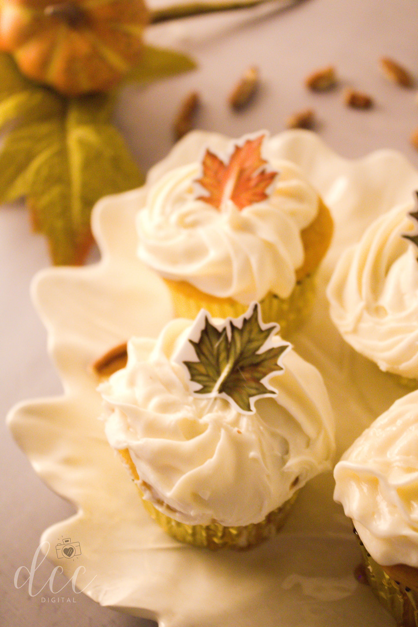 Maple Pumpkin Pecan Cupcakes[Semi-Exclusive] - Set 4