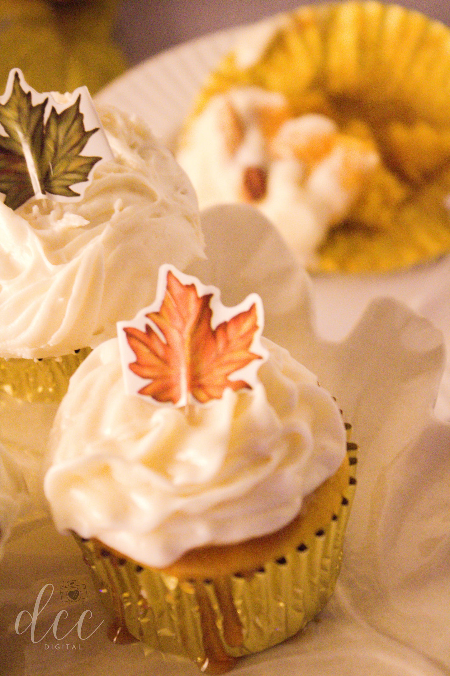 Maple Pumpkin Pecan Cupcakes[Semi-Exclusive] - Set 4