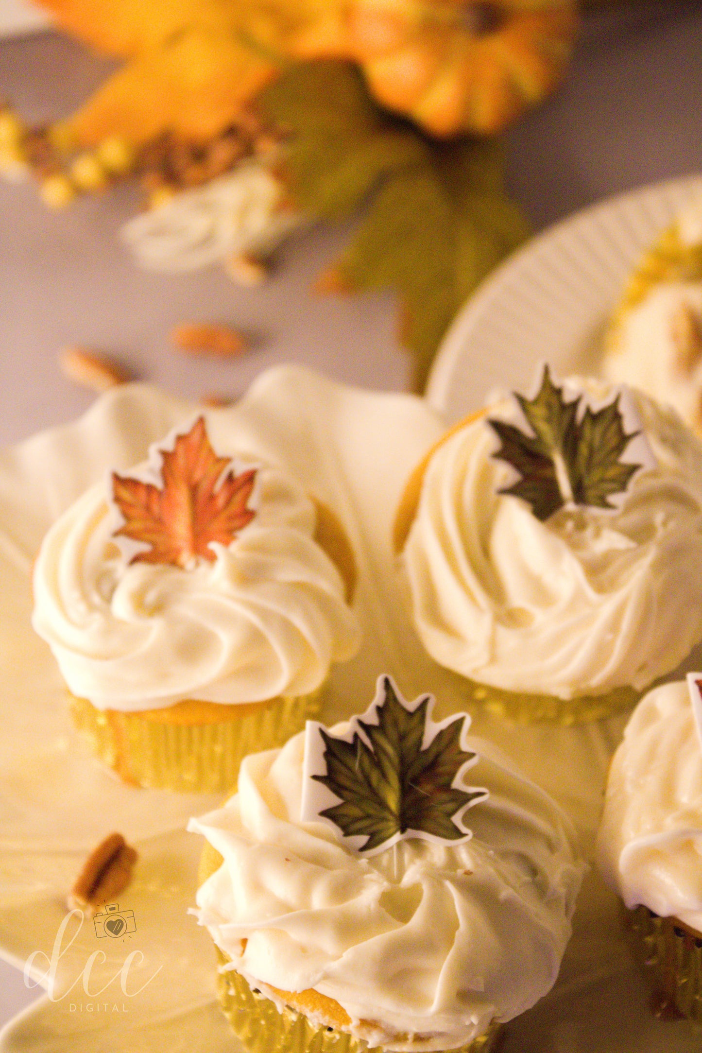 Maple Pumpkin Pecan Cupcakes[Semi-Exclusive] - Set 4